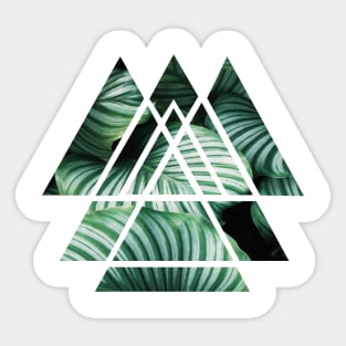 Scared Geometry Triangles Sticker